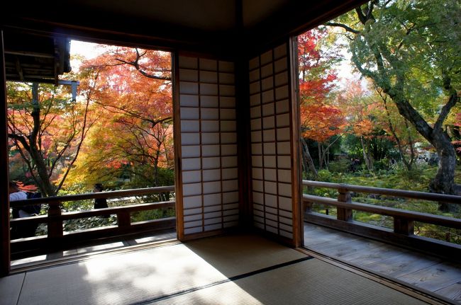 京都は紅葉真っ盛り！のニュースをみて<br />「そうだ、京都へ行こう」といきなり企画（予約）<br /><br />しかしさすが京都、分かってはいたけれどやっぱりどこも激混みで凄い・・・<br />よってマイナー路線＆行きにくいロケーションの裏京都で紅葉満喫の旅を楽しみました♪<br /><br />それにしても秋の京都のホテルは高すぎだ(--;)<br /><br />【混雑を避けるために、、、】<br />・早朝より行動開始（先手必勝）<br />・なるべく京都駅より離れたところから攻めるべし<br />・バスや電車の乗り換え２回以上の行きにくい場所を選ぶべし<br />・移動は極力電車。あとは徒歩とバスを組み合わせるべし<br />・タクシー移動は避けるべし<br />・昼は１２時前か１３時後に組み込めるようスケジュールすべし