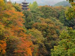 福島・仙台の紅葉を求めて（二口峡谷・秋保大滝・鳳鳴四十八滝・西方寺・青葉城址編）