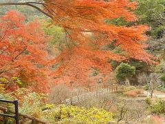 久しぶりの熱海の旅⑤熱海梅園２）中山晋平記念館～熱海梅園入り口