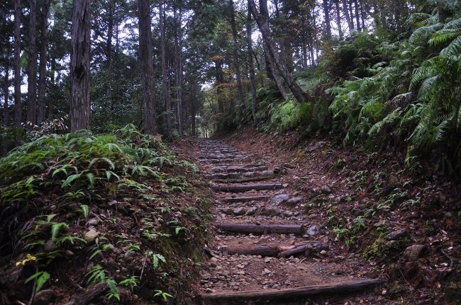 2009年11月に熊野古道中辺路を歩いたときの旅行記のその２になります。2日目は前日の続きの秀衡桜の手前、とがの木茶屋から歩きます。朝一番の龍神バス（確か6：30頃だったような）で田辺から野中の一方杉のバス停まで行きます。その後ひたすら熊野本宮大社を目指し歩きます。参拝後、バスで川湯温泉に行き宿泊します。翌日は川下りをして新宮まで行きます
