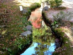 京都の紅葉　上賀茂神社・街歩き