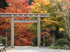 2013年京都の紅葉④　日向大神宮