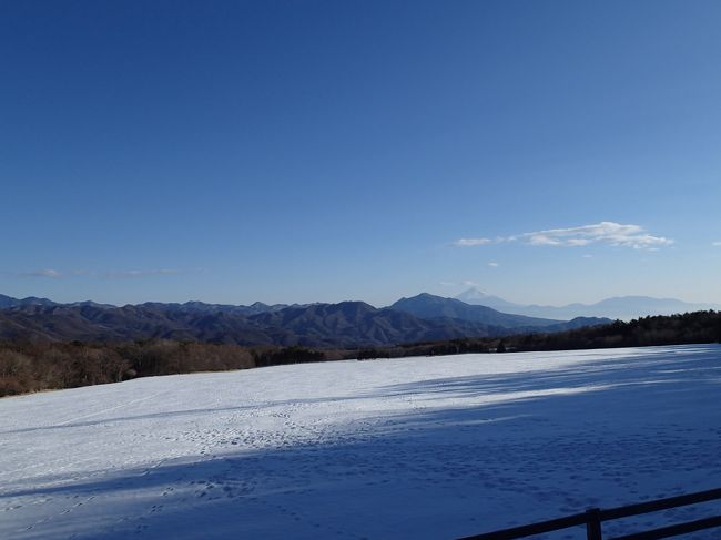 八ヶ岳南麓→諏訪湖→駒ヶ根→八ヶ岳南麓・・・とドライブしてきました。<br /><br />予報で雪だとは聞いていましたが、こんなことになるとは。<br />たいへんでした！<br /><br />清里は、いい天気だったんですけどね〜。