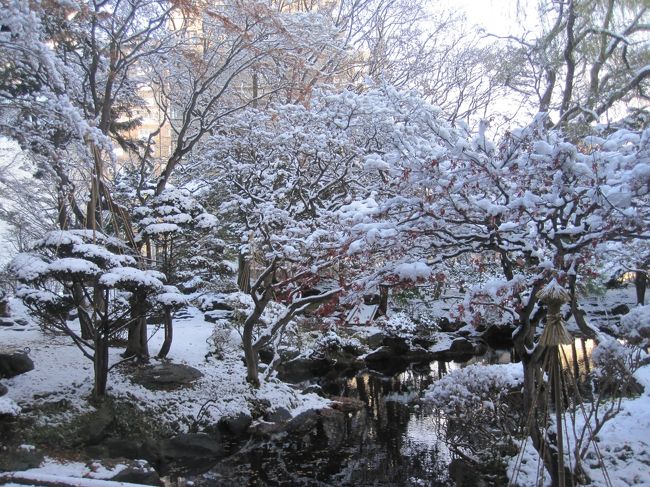 寒くなってくると、函館・湯の川温泉の安いツアーが出てきます。<br />今回は、ＡＮＡで行く啄木亭2泊3日、朝夕食付で2人で50560円でした。<br />夕食はバイキングであまり美味しいものはありませんが、このお値段で行かれるのだから文句は言いません。<br />温泉で日頃の疲れを癒して来ました。