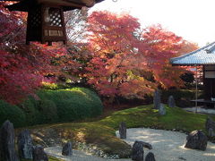 東福寺光明院　紅葉の風景！2013年