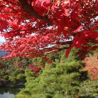 大混雑の京都紅葉狩り「修学院離宮」とオマケのUSJ