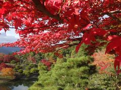 大混雑の京都紅葉狩り「修学院離宮」とオマケのUSJ