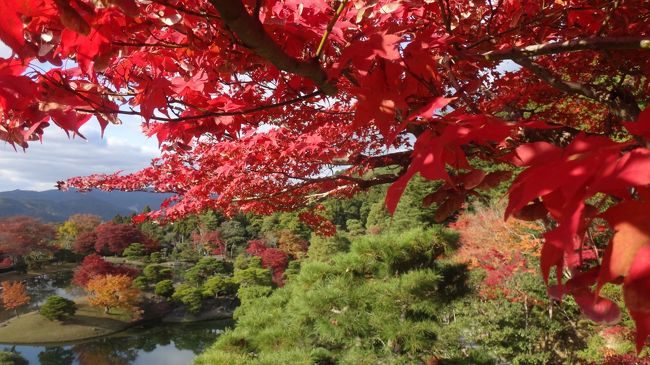 ずっと前から一度は行ってみたかった、紅葉の季節の「修学院離宮」。運良くインターネット抽選で当選したので11月23・24日に京都・大阪へ行ってきました。13時30分からの参観に当選したので、参観時間までに詩仙堂と圓光寺にも足を運びました。<br /><br />お花見の季節、紅葉の季節の京都の混雑は半端じゃないとは聞いていましたがこれ程とは･･･。<br /><br />夕食は、またまた行列覚悟で「俺のフレンチ・イタリアン」。<br />待ちました。たくさん待ちました。でもお腹いっぱい食べました。<br /><br />