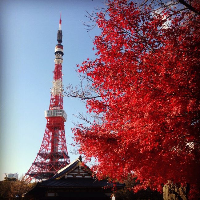 今年は、12月14日が土曜日ということもあり、義士行列と一緒に歩くチャンス！<br /><br />今年も義士祭に行ってきました。<br /><br />中央区役所−築地川銀座公園前−昭和通り−外堀通り−西新橋から日比谷通り−増上寺でひと休み。<br />芝５丁目から第一京浜−財界二世学院前から警察に誘導されて泉岳寺へと向かいました。<br /><br />ふだん歩かない街なので面白い風景も見られたりして<br />なんだかんだ楽しかったです。<br />