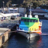 東海汽船で行く冬の伊豆大島（陸上編）