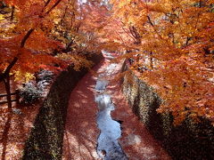 晩秋の京都紅葉めぐり＆神戸ルミナリエ