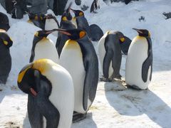 吹雪を呼ぶ北海道旅行３