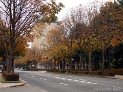 Autumn has come in TOHOKU! - Iwate