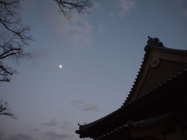 私が日々愛して生きているもの、<br />台湾・ビーチ・奈良・京都・神社仏閣・ライヴ・にゃんこ<br />のうち、本当にこれが無ければ生きて行けないもの、ライヴ。<br />（それ以外のものも無かったら悲しいけど、特に）<br /><br />４トラのカラーと違うかな、と思って<br />今までここではあまり書いてなかったのですが<br />私が現在どハマりしているバンドの九州ツアーを<br />３カ所だけ追いかけた旅行記です。<br />（熱が入りすぎるので、ライヴの様子は控えめに<br />観光の方をメインに書いています）<br /><br />※尚、『ななつ星in九州』には乗っていません。念のため。