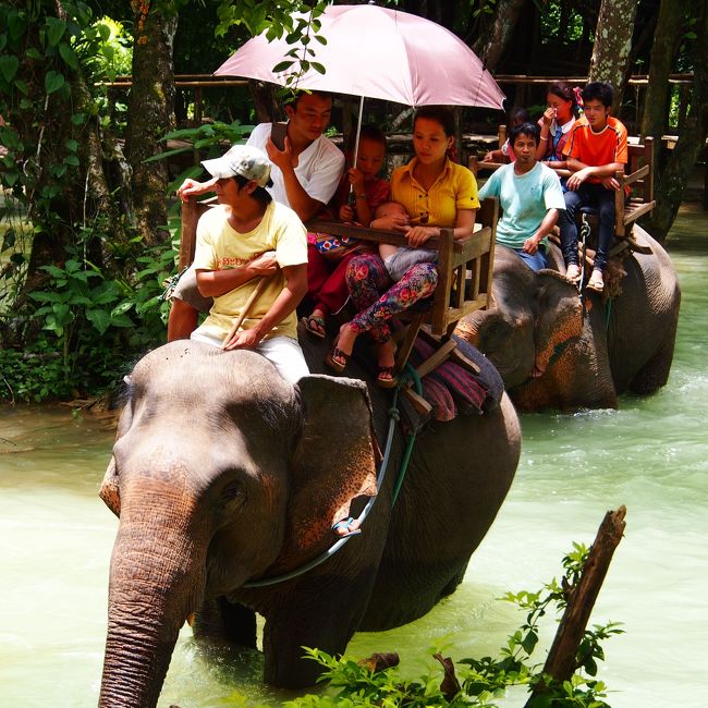 悠久の古都で見つけた懐古情調 in Luang Prabang★2013　10　8日目【LPQ：セー滝】