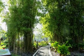 2013春、インドネシア旅行記2(4/33)：5月22日(1)：バリ島、ヌサドゥアのホテル、ホテルの庭園散策