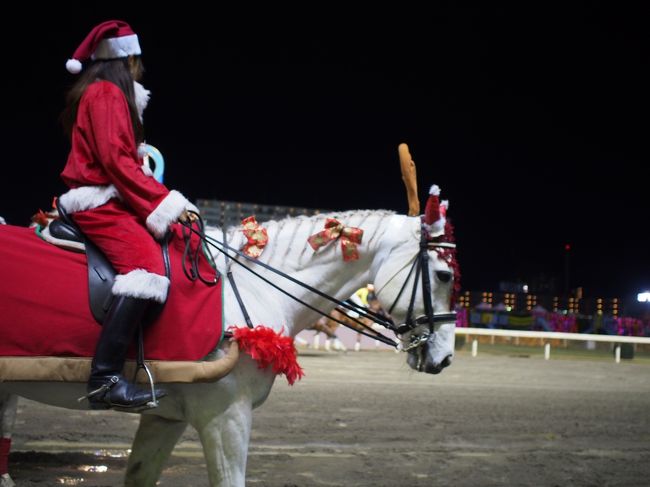 この時期の川崎競馬場の名物レース・ホワイトクリスマス賞。このレースは、非常に珍しい白い馬（芦毛馬）限定レースです。馬がみんな真っ白でした。誘導馬もトナカイにコスプレでクリスマス気分でした。