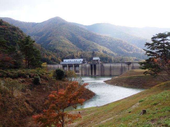 大野ダム（おおのダム）は京都府南丹市美山町の由良川本流上流部に建設されたダムで由良川の治水と水力発電を目的とした由良川総合開発事業の一環として建造された。ダムによって形成された人造湖は１９６０年に虹の湖（にじのみずうみ）と命名されダム湖百選に選ばれている。<br />虹の湖周辺は春にはサクラ、秋には紅葉が湖畔を彩り名所として知られている。湖畔周辺には遊歩道が整備され散策ができ、大野ダム公園のアウトドア施設が整備されビジターセンターや美山虹の湖アートギャラリーなどの施設がある。２００２年には読売新聞大阪本社の選定による遊歩百選に虹の湖周辺はかやぶきと虹の湖として選定されている。ダム・虹の湖周辺には１６５０年に建築された年代が確認できる日本最古の農家住宅で国の重要文化財にも指定されている石田家住宅やかやぶきの里・北村など伝統的住宅群、江戸時代初期の陶工・野々村仁清の生家など歴史的な観光スポットもある。１１月８日は紅葉がきれいだった。 <br />（写真は虹の湖周辺）<br />