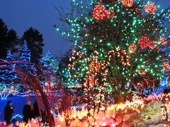バンデューセン植物園 1回目： クリスマス・イルミネーション＆雪化粧