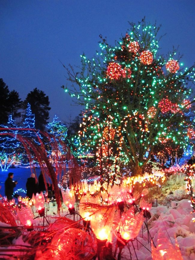 バンデューセン植物園にクリスマス・イルミネーション &quot;Festival of Lights&quot; を見に行ってきました。<br /><br />前日に雪が降ったため雪化粧とイルミネーションとの組み合せとなり、息をのむ美しさでした。<br />中央の湖で行われる&quot;Dancing Lights&quot; という音楽と光のショーもよいです。<br /><br />気温が0℃前後なので、楽しむにはしっかりとした防寒対策が必須です。<br /><br />■ バンデューセン植物園 訪問歴 ■<br />1回目） クリスマス・イルミネーション＆雪化粧<br />http://4travel.jp/travelogue/10841948<br />2回目） 桜の日 日本フェア<br />http://4travel.jp/travelogue/10874174<br /><br />■ 関連記事 ■<br />総集編： バンクーバーの祭り（フェスティバル, イベント） 一覧<br />http://4travel.jp/travelogue/10824875