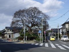 東海道を歩く（知立−石薬師）