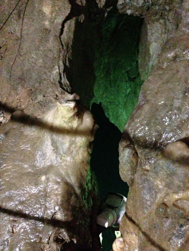 地獄巡りで気分もほっこり。<br /><br />次は、別府から1時間４０分ほどかけて<br />日本最大の水中鍾乳洞「稲積水中鍾乳洞」に行ってきました。<br /><br />梅雨の時期の鍾乳洞...新鮮です！