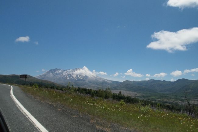 マウントレーニアをあとにし、セントへレンズへ向かいました。その道中の車窓の写真が主です。<br />セントへレンズは1980年に大噴火を起こし、周辺地域に多大な被害をもたらした活火山です。シルバーレイクあたりでは本当にまだセントへレンズまでは遠いので、休火山のようにしか感じませんが、近づくにつれ過去の噴火の跡をいたるところで目にし、その災害の大きさを実感します。<br /><br />地図を見ると、マウントレーニアからだと99号線からウィンディリッジ方面のセントへレンズに行く道もあるようでしたが、雪解けの遅い年だったことと道の状態が悪い可能性が高いことなどからこちらのルートは却下。<br />またもう少しショートカットする道もありましたが、一番大きなビジターセンターに先に立ち寄るため、シルバーレイク経由でセントへレンズへ向かいました。<br />途中のビジターセンターはすべて立ち寄りながら向かうと、予想以上に時間がかかり、最後オレゴンのポートランドまで行くには一日仕事になりましたー。