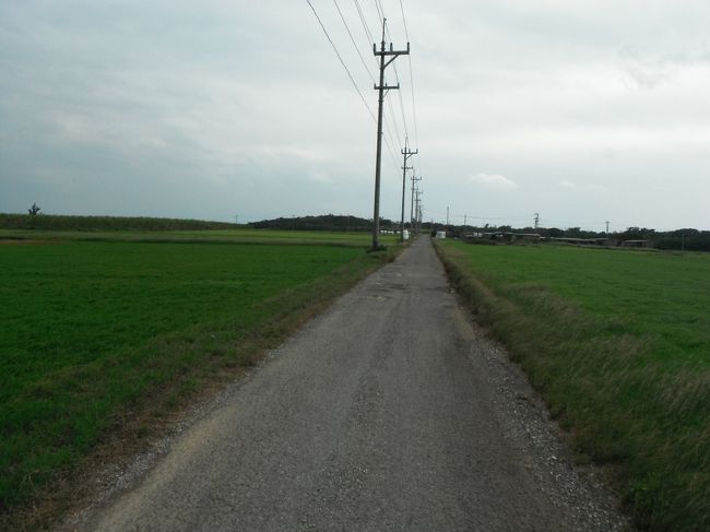 小浜島はレンタバイクが便利だとの情報でしたが、バイクは教習所で乗ったっきり。<br /><br />自信がないのでレンタサイクルにしました。<br /><br />坂が多いので半分くらいは押してた気がしますが、何とか回れました。<br /><br />ただ、他にレンタサイクルの人は見当たりませんでした(笑)<br /><br />追記<br />だいたいのですが、かかった時間を記載しました。自転車を押してる時間も長いので、参考までに☆