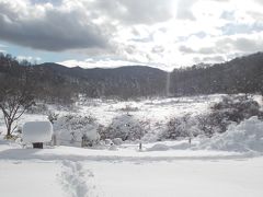 初冬の古峯ヶ原ハイキング～一足早く雪と戯れる～