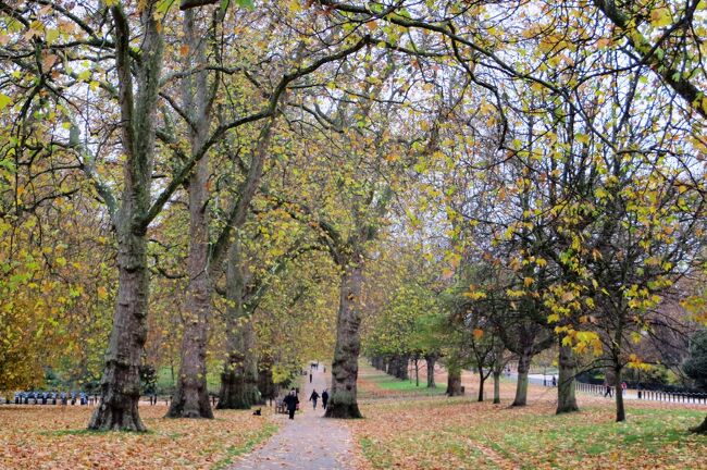 2013晩秋、イギリス旅行記2(27/44)：12月3日(1)：ロンドン、市内散策、ハイド・パークの晩秋の黄葉、ハロッズ