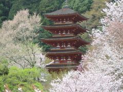2009 2回目の桜旅 2日目 奈良 長谷寺 室生寺
