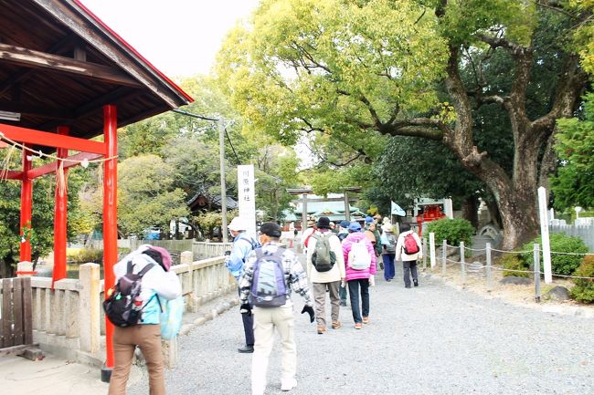 今回は名古屋市営地下鉄のいりなか駅をスタートして南に向かい、昭和区を時計回りに歩くコースでした。<br /><br />このコースの特徴は昭和区でも高級住宅街、そして下町。それにこの辺りは文京地区で南山大学、中京大学など多くの大学や高校が有ります。<br />又、途中の八事あたりはお寺の多いところでした。<br /><br />地下鉄いりなか駅　→　南山教会　→　檀渓址　→　塩付街道　→　飯田街道　→ 川原神社<br /><br />　→　川名公園　→　香積院　→　南山大学人類学博物館　→　般若台　→　浄昇寺　→　<br /><br />徳林寺　→　興正寺　→　隼人池公園　→　地下鉄いりなか駅<br /><br /><br />この日の参加者は42名でした。<br />週間天気予報では土曜日だけが雨マークでしたが、日が進むに連れて曇りとなり、実施日には晴れ時々曇りの空で、<br />マズマズのウオーキング日和となりました。<br /><br />今回は大学の博物館へ入りました。<br />各地を回り、歴史的なことに触れる事が出来ましたが、博物館に入館したのも面白かったです。<br /><br />