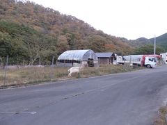 日本の旅　関西を歩く　京都府南丹市（なんたんし）るり渓（るりけい）やぎ農園、るり渓温泉（るりけいおんせん）周辺