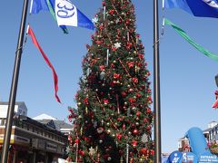 サンフランシスコ市内観光３泊４日の旅②３～４日目