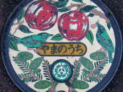 日本の鳥が道路に降り立つ