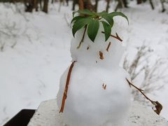 伊豆唯一の百名山　天城山(万三郎岳)　～まさかの雪中行軍～