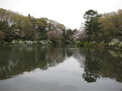 東京の庭園、殿ヶ谷戸庭園と桜咲く野川の源流日立中央研究所