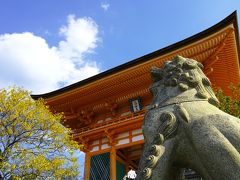 【2013】 のんびりマタ旅in京都  これまでほど詰め込まない旅へ 初日