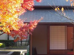 松山城二之丸史跡庭園で紅葉している庭園を歩きました