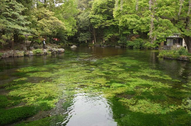 一宮巡詣～駿河と浅間神社①