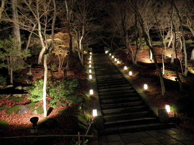 嵐山花灯路　常寂光寺です<br />ここのライトアップは最初の頃から余り変わらず<br />最初の頃と同じくいい雰囲気です。