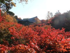 2013年秋の京都を友と歩く