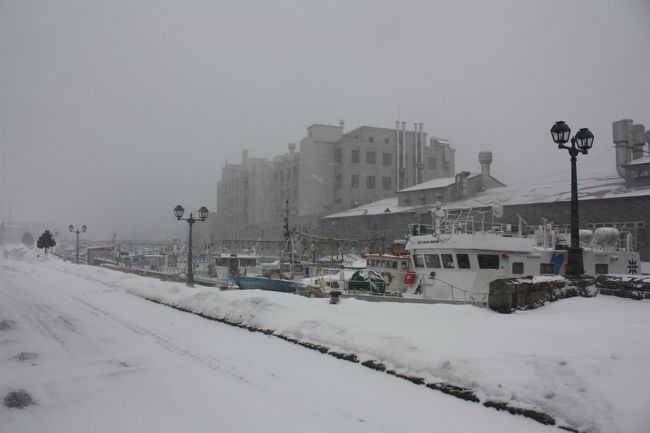 ２０１３年の冬休み、みなみ北海道フリーきっぷを利用して、函館、小樽を回ってきました。廃止間近の江差線にも完乗する予定でしたが、低気圧の影響による暴風雪のため、こちらは断念しました。とは言え、北海道の雪を楽しんできました。<br />その５は、小樽散策編です。<br /><br />その１　出発・北海道上陸編http://4travel.jp/travelogue/10843526<br />その２　函館夜景編http://4travel.jp/travelogue/10843669<br />その３　函館散策編http://4travel.jp/travelogue/10843688<br />その４　小樽夜景編http://4travel.jp/travelogue/10843744