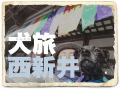 犬旅　～西新井～