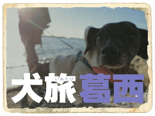 愛犬Ｋｅｎと旅する企画『 犬旅 』<br /><br />第７回は、葛西。<br />「海を見たい」とは言ったけど、<br />まさか真冬の海なんて。