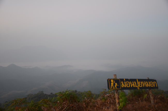 　2013年の年末の休みはターク県の山に登って来ました。目的地はミャンマー国境地帯のターソンヤーン郡にあるメームーイ国立公園。ここで３泊（うち１泊は山上泊）し、帰りにはタクシン・マハラート国立公園で１泊しました。<br />　タイの山は比較的冷涼で空気も乾いた12月から1月にかけてがベストシーズン。雨季に悩まされるヒル、蚊もこの季節はおとなしく、タイの平地では味わえない涼しさが最高です。タイ人も車で上がれる山で厚着をして「冬」を楽しもうと押しかけます。