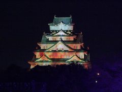 ２０１３　大晦日　大阪城３Ｄマッピングを訪ねて