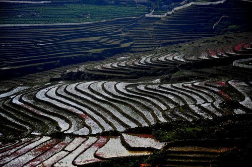 SaPa 少数民族の村々 8マチャ村 棚田が美しい黒モン族の村』サパ(ベトナム)の旅行記・ブログ by 風神さん【フォートラベル】