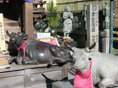 生駒のお山の宝山寺に行ってみました　2013年末