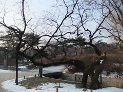 ２０１３　旅おさめ欲張り旅③(昌慶宮見学に披露宴､美術館､市場とまさにてんこ盛り～♪)